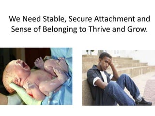 We Need Stable, Secure Attachment and
Sense of Belonging to Thrive and Grow.
 