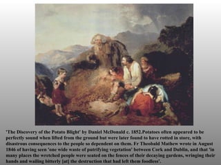 'The Discovery of the Potato Blight' by Daniel McDonald c. 1852.Potatoes often appeared to be perfectly sound when lifted from the ground but were later found to have rotted in store, with disastrous consequences to the people so dependent on them. Fr Theobald Mathew wrote in August 1846 of having seen 'one wide waste of putrifying vegetation' between Cork and Dublin, and that 'in many places the wretched people were seated on the fences of their decaying gardens, wringing their hands and wailing bitterly [at] the destruction that had left them foodless'. 