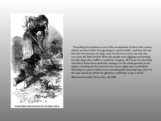   “ Searching for potatoes is one of the occupations of those who cannot obtain out-door relief. It is gleaning in a potato-field-- and how few are left after the potatoes are dug, must be known to every one who has ever seen the field cleared. What the people were digging and hunting for, like dogs after truffles, I could not imagine, till I went into the field, and then I found them patiently turning over the whole ground, in the hopes of finding the few potatoes the owner might have overlooked. Gleaning in a potato-field seems something like shearing hogs, but it is the only means by which the gleaners could hope to get a meal." Illustrated London News,  Dec. 22, 1849 