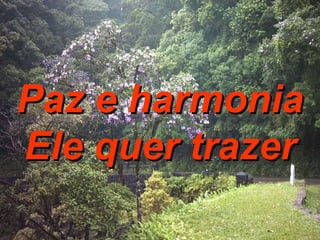 Paz e harmonia Ele quer trazer 