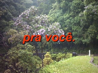 pra você. 