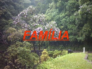 FAMÍLIA 