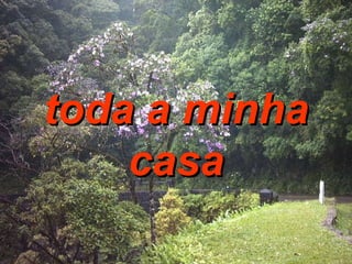 toda a minha casa 