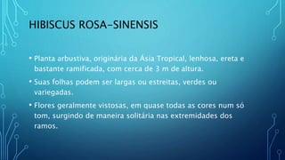 HIBISCUS ROSA-SINENSIS
• Planta arbustiva, originária da Ásia Tropical, lenhosa, ereta e
bastante ramificada, com cerca de 3 m de altura.
• Suas folhas podem ser largas ou estreitas, verdes ou
variegadas.
• Flores geralmente vistosas, em quase todas as cores num só
tom, surgindo de maneira solitária nas extremidades dos
ramos.
 