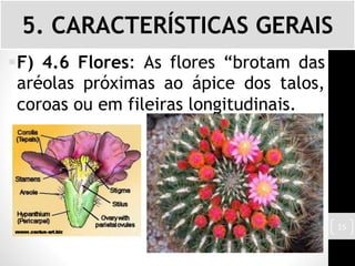 F) 4.6 Flores: As flores “brotam das
aréolas próximas ao ápice dos talos,
coroas ou em fileiras longitudinais.
5. CARACTERÍSTICAS GERAIS
15
 