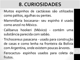 • Muitos espinhos de cactáceas são utilizados
como palitos, agulhas ou pentes.
• Mammillaria bocasana– seu espinho é usado
como anzol no México.
• Calibanus hookeri (México) - contém uma
substância parecida com sabão.
• Trichocereus pasacana - usado para construção
de casas e como lenha na fronteira da Bolívia
com Argentina, onde existem poucas árvores.
• Ferocactus- espinhos usados para coleta de
frutos.
8. CURIOSIDADES
22
 