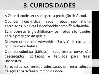 • A Opuntiapode ser usada para a produção de álcool.
• Opuntia ficus-indica- seus frutos são muito
apreciados. No Brasil é conhecido como fígo-da-índia.
• Echinocereus triglochidiatus– os frutos são usados
para a produção de geléia.
• Neowerdermanmia vorwerkii- (Bolívia) é cozida e
comida como batata.
• Opuntia subulata (México) - seus brotos novos são
descascados, cortados e fervidos para fazer
“nopalitos”.
• Ferocactus wislizenisão adocicados em uma solução
de açúcar para fazer um tipo de doce.
8. CURIOSIDADES
23
 
