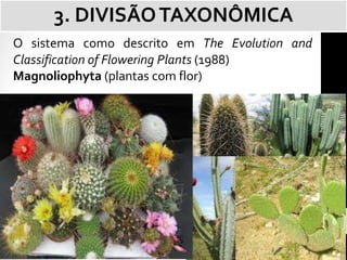 O sistema como descrito em The Evolution and
Classification of Flowering Plants (1988)
Magnoliophyta (plantas com flor)
3. DIVISÃOTAXONÔMICA
6
 