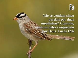 FéFé
Não se vendem cincoNão se vendem cinco
pardais por duaspardais por duas
moedinhas? Contudo,moedinhas? Contudo,
nenhum deles é esquecidonenhum deles é esquecido
por Deus. Lucas 12:6por Deus. Lucas 12:6
 