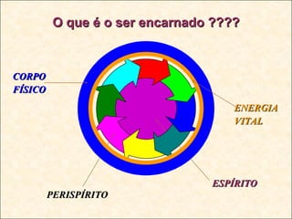 O que é o ser encarnado ???? ESPÍRITO PERISPÍRITO CORPO FÍSICO ENERGIA VITAL 