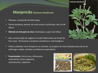 Manjericão  ( Ocimum basilicum ) Alfavaca,  manjericão de folha-larga Planta herbácea, perene, de caule ereto e ramificado. Até 1m de altura. Método de Extração do óleo:  Destilação a vapor das folhas Folhas utilizadas como temperos na culinária, no preparo de chás indicados para dores de estômago, enjôos, vômitos e problemas respiratórios Ocimum basilicum Propriedades:  tônico leve, refrescante, estimulante, tônico digestivo, antiinfeccioso, repelente  Alta concentração de euglenol e linalol (Alternativa ao linalol do Pau-rosa) - Perfumaria e produtos cosméticos e odontológicos 
