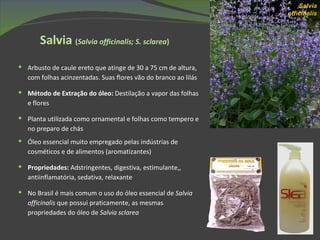 Salvia  ( Salvia officinalis; S. sclarea ) Salvia officinalis Arbusto de caule ereto que atinge de 30 a 75 cm de altura, com folhas acinzentadas. Suas flores vão do branco ao lilás Método de Extração do óleo:  Destilação a vapor das folhas e flores Planta utilizada como ornamental e folhas como tempero e no preparo de chás Óleo essencial muito empregado pelas indústrias de cosméticos e de alimentos (aromatizantes) Propriedades:  Adstringentes, digestiva, estimulante,, antiinflamatória, sedativa, relaxante  No Brasil é mais comum o uso do óleo essencial de  Salvia officinalis  que possui praticamente, as mesmas propriedades do óleo de  Salvia sclarea 