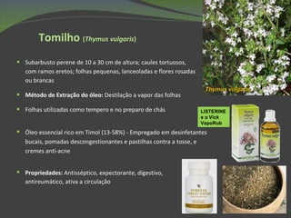 Tomilho  ( Thymus vulgaris ) Subarbusto perene de 10 a 30 cm de altura; caules tortuosos, com ramos eretos; folhas pequenas, lanceoladas e flores rosadas ou brancas Método de Extração do óleo:  Destilação a vapor das folhas Folhas utilizadas como tempero e no preparo de chás Óleo essencial rico em Timol (13-58%) - Empregado em desinfetantes bucais, pomadas descongestionantes e pastilhas contra a tosse, e cremes anti-acne Thymus vulgaris LISTERINE e o Vick VapoRub Propriedades:  Antisséptico, expectorante, digestivo, antireumático, ativa a circulação 