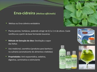 Planta perene, herbácea, podendo atingir de 0,5 a 1 m de altura. Caule ramifica-se a partir da base formando touceiras Melissa ou Erva-cidreira-verdadeira Melissa officinalis Erva-cidreira  ( Melissa officinalis )  Método de Extração do óleo:  Destilação a vapor das folhas Uso medicinal, cosmético (produtos para banho) e na culinária (aromatizante de alimentos e bebidas) Propriedades:  Anti-espasmódica, sedativa, digestiva, carminativa e estimulante 