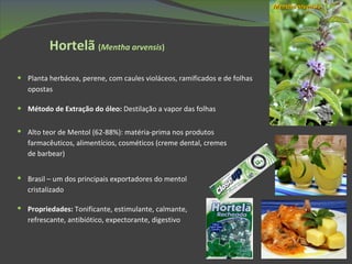 Hortelã   ( Mentha arvensis ) Planta herbácea, perene, com caules violáceos, ramificados e de folhas opostas Método de Extração do óleo:  Destilação a vapor das folhas Alto teor de Mentol (62-88%): matéria-prima nos produtos farmacêuticos, alimentícios, cosméticos (creme dental, cremes de barbear)  Mentha arvensis Brasil – um dos principais exportadores do mentol cristalizado Propriedades:  Tonificante, estimulante, calmante, refrescante, antibiótico, expectorante, digestivo 