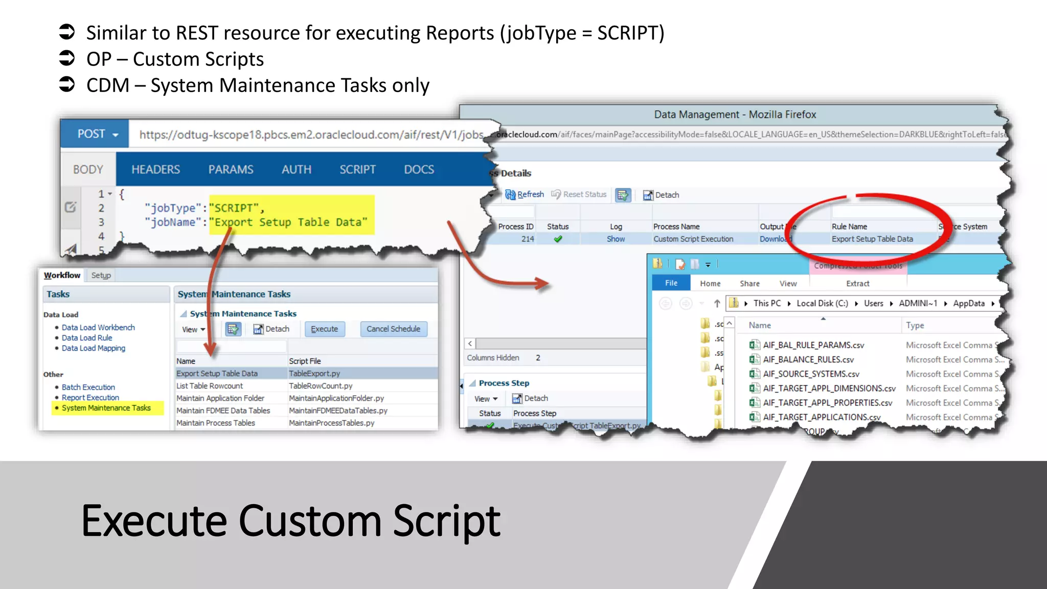 Execute Custom Script
 Similar to REST resource for executing Reports (jobType = SCRIPT)
 OP – Custom Scripts
 CDM – System Maintenance Tasks only
 