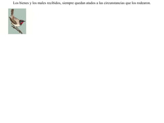 Invitó la golondrina a un ruiseñor a construir su nido como lo hacía ella, bajo el techo de las casas de los hombres, y a vivir con ellos como ya lo hacía ella. Pero el ruiseñor repuso:-- No quiero revivir el recuerdo de mis antiguos males, y por eso prefiero alojarme en lugares apartados. Los bienes y los males recibidos, siempre quedan atados a las circunstancias que los rodearon. 