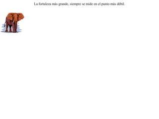 Votaban los animales para elegir un rey. El camello y el elefante se pusieron en fila disputándose los sufragios, ya que esperaban ser preferidos sobre los demás gracias a su tamaño y su fuerza.Pero llegó el mono y los declaró a los dos incapacitados para reinar.-- El camello no sirve -- dijo --, porque no se encoleriza contra los malhechores, y el elefante tampoco nos sirve porque tendremos que estar temerosos de que nos ataque un marrano, animal a quien teme el elefante. La fortaleza más grande, siempre se mide en el punto más débil.  