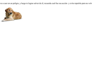 Dormía plácidamente un perro en el portal de una casa. Un lobo se avalanzó sobre él, dispuesto a darse un banquete, cuando en eso el perro le rogó que no lo sacrificara todavía.-- Mírame, ahora estoy en los huesos -- le dijo --; espera un poco de tiempo, ya que mis amos pronto van a celebrar sus bodas y como yo también me daré mis buenos atracones, me engordaré y de seguro seré un mucho mejor manjar para tu gusto.Le creyó el lobo y se marchó. Al cabo de algún tiempo volvió. Pero esta vez encontró al perro durmiendo en una pieza elevada de la casa. Se detuvo al frente y le recordó al perro lo que habían convenido. Entonces el perro repuso:-- ¡ Ah lobo, si otro día de nuevo me ves dormir en el portal de la casa, no te preocupes por esperar las bodas ! Si una acción te lleva a caer en un peligro, y luego te logras salvar de él, recuerda cual fue esa acción  y evita repetirla para no volver a ser su víctima. 