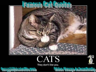 Famous Cat Quotes [email_address] Slides Change Automatically 