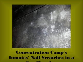 Concentration Camp's
Inmates' Nail Scratches in a
 