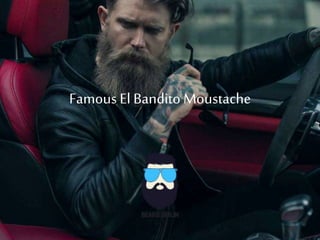 Famous ElBanditoMoustache
 