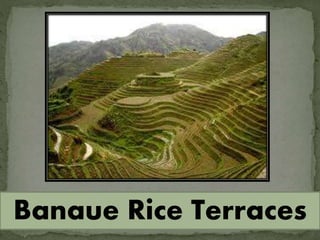 Banaue Rice Terraces
 
