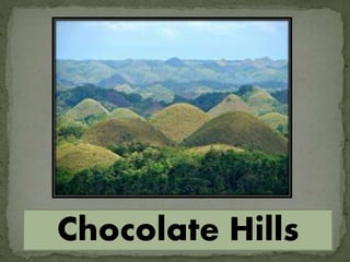 Chocolate Hills
 