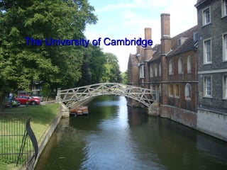 The University of Cambridge 