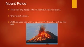 Mount Pelee
 There were only 2 people who survived Mount Pelee’s explosion.
 One was a shoemaker.
 And there was a man who was a prisoner. The thick stone cell kept him
safe.
 
