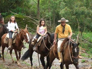 Famtour Alpen Park 2008/2009