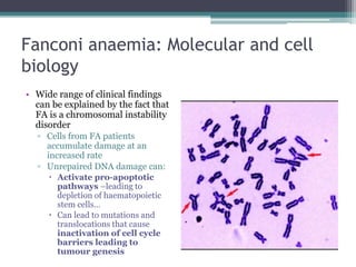 Fanconi anaemia: Molecular and cell
biology
• Wide range of clinical findings
can be explained by the fact that
FA is a chromosomal instability
disorder
▫ Cells from FA patients
accumulate damage at an
increased rate
▫ Unrepaired DNA damage can:
 Activate pro-apoptotic
pathways –leading to
depletion of haematopoietic
stem cells…
 Can lead to mutations and
translocations that cause
inactivation of cell cycle
barriers leading to
tumour genesis
 