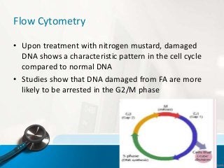 Flow Cytometry
• Upon treatment with nitrogen mustard, damaged
DNA shows a characteristic pattern in the cell cycle
compared to normal DNA
• Studies show that DNA damaged from FA are more
likely to be arrested in the G2/M phase
 