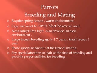 Parrots
Breeding and Mating
 Require spring season , warm environment.
 Cage size must be 1ft*1ft. Nest boxes are used .
 Need longer Day light. Also provide isolated
environment .
 Large breeds breeding age is 4-7 years . Small breeds 1
year.
 Show special behaviour at the time of mating.
 Pay special attention on pair at the time of breeding and
provide proper facilities for breeding.
 
