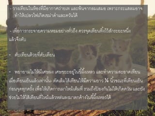 - วางเทียนในห้องที่มีอากาศถ่ายเท และพ้นจากลมเสมอ เพราะกระแสลมอาจ
ทาให้เปลวไฟเกิดเขม่าดาและควันได้
- เพื่อการกระจายความหอมอย่างทั่วถึง ควรจุดเทียนทิ้งไว้สักระยะหนึ่ง
แล้วจึงดับ
- ดับเทียนด้วยที่ดับเทียน
- พยายามไม่ให้มีเศษผง เศษขยะอยู่ในขี้ผึ้งเหลว และทาความสะอาดเทียน
เมื่อเทียนเย็นแล้วเท่านั้น- ตัดเล็มไส้เทียนให้มีความยาว ¼ นิ้วขณะที่เทียนเย็น
ก่อนจุดทุกครั้ง เพื่อให้เกิดการเผาไหม้เต็มที่ รวมถึงป้ องกันไม่ให้เกิดควัน และยัง
ช่วยไม่ให้ไส้เทียนที่ไหม้แล้วหล่นลงมาตกค้างในขี้ผึ้งเหลวได้
 