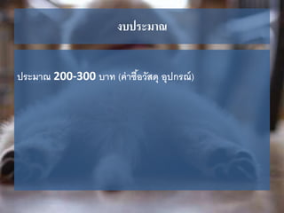 งบประมาณ
ประมำณ 200-300 บำท (ค่ำซื้อวัสดุ อุปกรณ์)
 