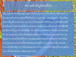 ความสาคัญของเทียน
เทียนนอกจากจะให้แสงสว่างแล้ว ยังมักจะถูกนามาเกี่ยวข้องกับพิธีกรรมต่างๆ
โดยเฉพาะสาหรับชาวพุทธที่ใช้เทียนในการบูชาพระ และประเพณีการแห่เทียน
พรรษาที่ถูกสืบทอดมาอย่างยาวนาน ซึ่งแสดงออกถึงวิวัฒนาการด้านศิลปะอีก
ด้วย ถึงแม้ว่าในปัจจุบันเทียนจะถูกลดความสาคัญลง เนื่องจากการมีไฟฟ้ าใช้
และป้ องกันปัญหาด้านอัคคีภัยจากการใช้งาน แต่ก็ยังมีการใช้เทียนในกิจกรรม
ด้านต่างๆอยู่ เพราะเทียนเป็นสัญลักษณ์แห่งความหวังและแรงบันดาลใจ แสง
เทียนสามารถสะท้อนได้ถึงความอบอุ่นและความอ่อนไหวที่แสงจากดวงไฟไม่
สามารถทดแทนในส่วนนี้ได้ เสน่ห์ของมันอยู่ที่ความวูบไหวยามที่สายลมพัด
ผ่าน แท่งเทียนที่ถูกความร้อนหลอมละลายกลายเป็นน้าตาเทียนที่ไหลหยดย้อย
ลงมาสร้างสรรค์เป็นงานศิลปะอย่างหนึ่ง
 