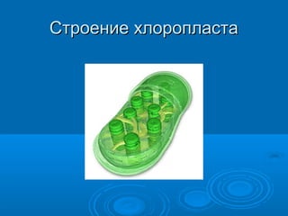 Строение хлоропластаСтроение хлоропласта
 