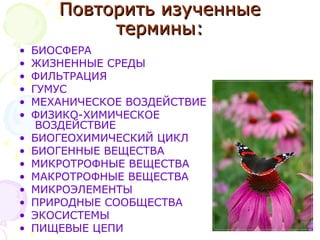 Повторить изученныеПовторить изученные
термины:термины:
• БИОСФЕРА
• ЖИЗНЕННЫЕ СРЕДЫ
• ФИЛЬТРАЦИЯ
• ГУМУС
• МЕХАНИЧЕСКОЕ ВОЗДЕЙСТВИЕ
• ФИЗИКО-ХИМИЧЕСКОЕ
ВОЗДЕЙСТВИЕ
• БИОГЕОХИМИЧЕСКИЙ ЦИКЛ
• БИОГЕННЫЕ ВЕЩЕСТВА
• МИКРОТРОФНЫЕ ВЕЩЕСТВА
• МАКРОТРОФНЫЕ ВЕЩЕСТВА
• МИКРОЭЛЕМЕНТЫ
• ПРИРОДНЫЕ СООБЩЕСТВА
• ЭКОСИСТЕМЫ
• ПИЩЕВЫЕ ЦЕПИ
 