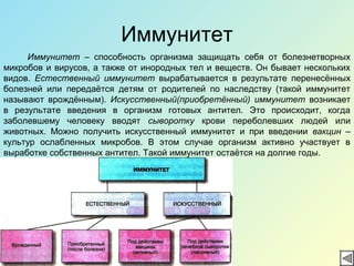 Иммунитет
Иммунитет – способность организма защищать себя от болезнетворных
микробов и вирусов, а также от инородных тел и веществ. Он бывает нескольких
видов. Естественный иммунитет вырабатывается в результате перенесённых
болезней или передаётся детям от родителей по наследству (такой иммунитет
называют врождённым). Искусственный(приобретённый) иммунитет возникает
в результате введения в организм готовых антител. Это происходит, когда
заболевшему человеку вводят сыворотку крови переболевших людей или
животных. Можно получить искусственный иммунитет и при введении вакцин –
культур ослабленных микробов. В этом случае организм активно участвует в
выработке собственных антител. Такой иммунитет остаётся на долгие годы.
 