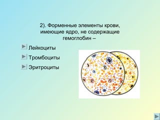 2). Форменные элементы крови,
имеющие ядро, не содержащие
гемоглобин –
Лейкоциты
Тромбоциты
Эритроциты
 