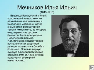 Мечников Илья Ильич
(1845-1916)
Выдающийся русский учёный,
положивший начало многим
важнейшим направлениям в
биологии и медицине. Автор
знаменитой фагоцитарной
теории иммунитета, за которую
ему, первому из русских
биологов, была присуждена
Нобелевская премия.
И.И.Мечников создал теорию
воспаления как защитной
реакции организма в борьбе с
болезнью. Основал первую
русскую бактериологическую
станцию. Имя И.И.Мечникова
пользуется всемирной
известностью.
 
