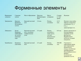 Форменные элементы
Форменные
элементы
Строение
клетки
Место образования Продолж.
функциониров
ания
Место
отмирания
Содерж.
в 1 мм3
крови
Функции
Эритроциты Красные
Кровяные
Безъядерные
клетки
Красный костный
мозг
3-4 мес. Печень,
селезёнка
4,5-5
млн.
Пигмент гемоглобин
образует непрочные
соединения с О2
и
СО2
и
транспортирует их.
Лейкоциты Белые
Кровяные
амёбообразн
ые клетки,
имеющие
ядро.
Красный костный
мозг, селезёнка,
лимфатические
узлы.
3-5 дней Печень,
селезенка, а
также места,
где идёт
воспалительн
ый процесс
6-8 тыс. Защита организма от
болезнетворных
микробов путём
фагоцитоза.
Вырабатывают
антитела, создавая
иммунитет.
Тромбоциты Кровяные
пластинки
Красный костный
мозг
2-5 дней Печень,
селезёнка.
300-500
тыс.
Участвуют в
свёртывании крови
при повреждении
кровеносного
сосуда, способствуя
преобразованию
белка фибриногена в
фибрин –
волокнистый
кровяной сгусток.
 