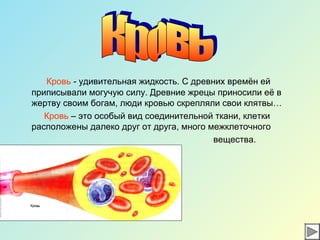 Кровь - удивительная жидкость. С древних времён ей
приписывали могучую силу. Древние жрецы приносили её в
жертву своим богам, люди кровью скрепляли свои клятвы…
Кровь – это особый вид соединительной ткани, клетки
расположены далеко друг от друга, много межклеточного
вещества.
 