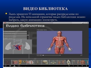 ВИДЕО БИБЛИОТЕКАВИДЕО БИБЛИОТЕКА
 Здесь хранится 53 анимации, которые распределены поЗдесь хранится 53 анимации, которые распределены по
разделам. На начальной страничке видео библиотеки можноразделам. На начальной страничке видео библиотеки можно
выбрать, какую анимацию посмотреть.выбрать, какую анимацию посмотреть.
 