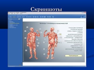 СкриншотыСкриншоты
 