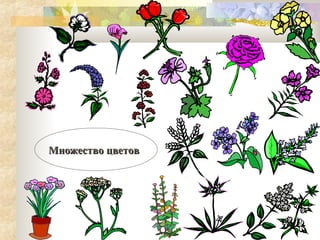 Множество цветов

 