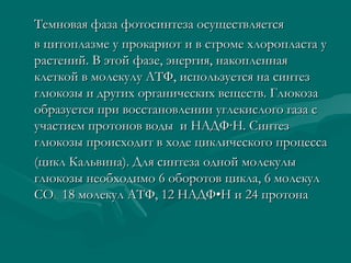 Темновая фаза фотосинтеза осуществляетсяТемновая фаза фотосинтеза осуществляется
в цитоплазме у прокариот и в строме хлоропласта ув цитоплазме у прокариот и в строме хлоропласта у
растений. В этой фазе, энергия, накопленнаярастений. В этой фазе, энергия, накопленная
клеткой в молекулу АТФ, используется на синтезклеткой в молекулу АТФ, используется на синтез
глюкозы и других органических веществ. Глюкозаглюкозы и других органических веществ. Глюкоза
образуется при восстановлении углекислого газа собразуется при восстановлении углекислого газа с
участием протонов воды и НАДФучастием протонов воды и НАДФ··Н. СинтезН. Синтез
глюкозы происходит в ходе циклического процессаглюкозы происходит в ходе циклического процесса
(цикл Кальвина). Для синтеза одной молекулы(цикл Кальвина). Для синтеза одной молекулы
глюкозы необходимо 6 оборотов цикла, 6 молекулглюкозы необходимо 6 оборотов цикла, 6 молекул
СОСО2 ,2 , 18 молекул АТФ, 12 НАДФ•Н и 24 протона18 молекул АТФ, 12 НАДФ•Н и 24 протона
 