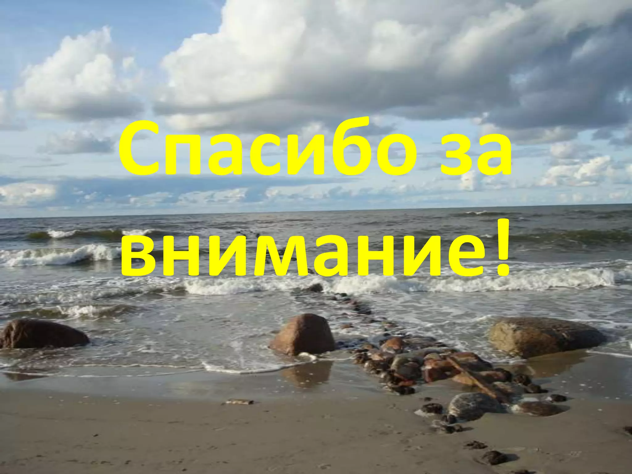 Спасибо за
внимание!
 