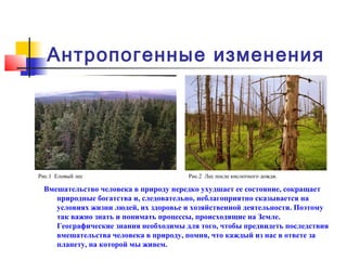 Антропогенные изменения




Рис.1 Еловый лес                       Рис.2 Лес после кислотного дождя.

  Вмешательство человека в природу нередко ухудшает ее состояние, сокращает
     природные богатства и, следовательно, неблагоприятно сказывается на
     условиях жизни людей, их здоровье и хозяйственной деятельности. Поэтому
     так важно знать и понимать процессы, происходящие на Земле.
     Географические знания необходимы для того, чтобы предвидеть последствия
     вмешательства человека в природу, помня, что каждый из нас в ответе за
     планету, на которой мы живем.
 